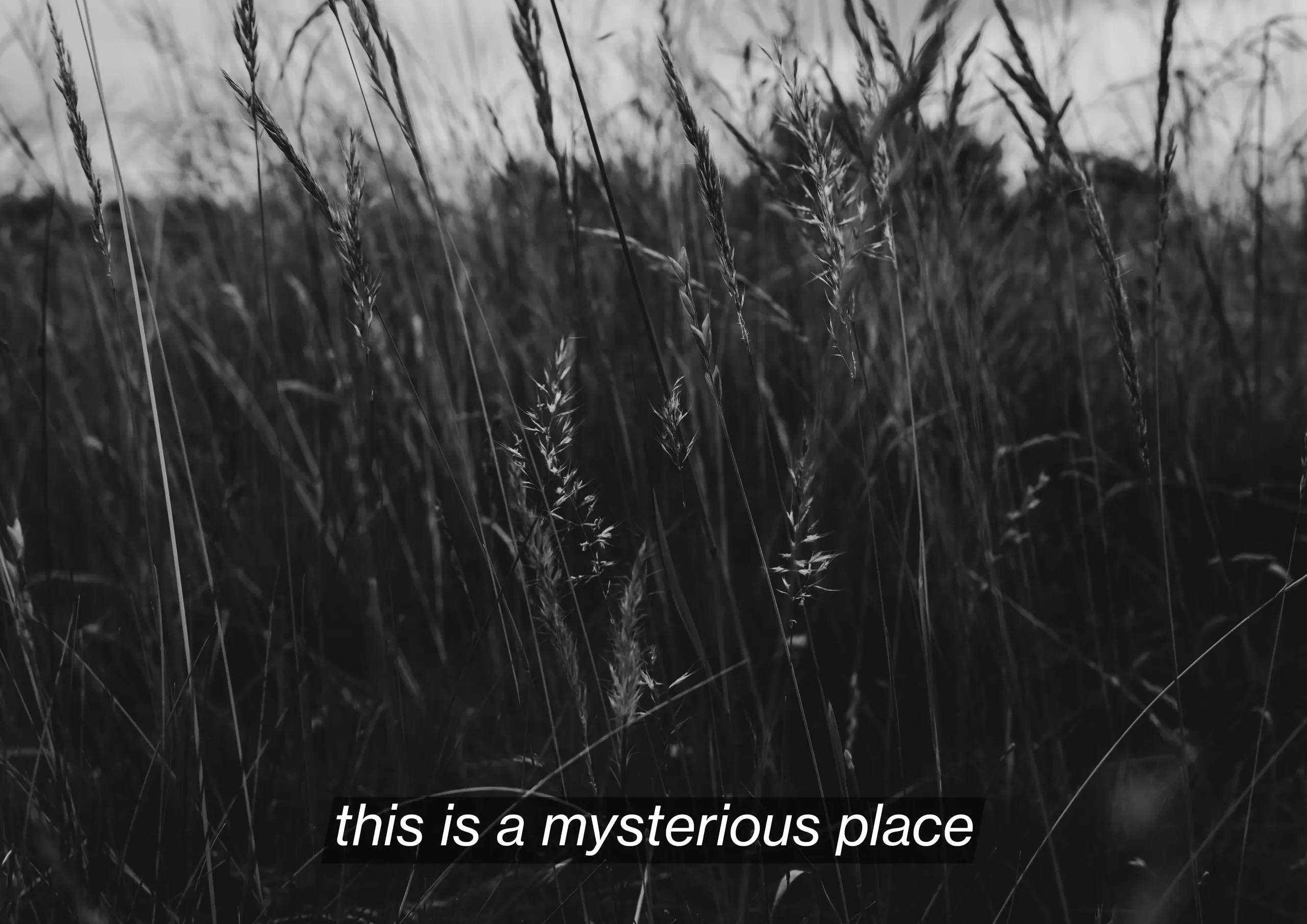 Stills from a film