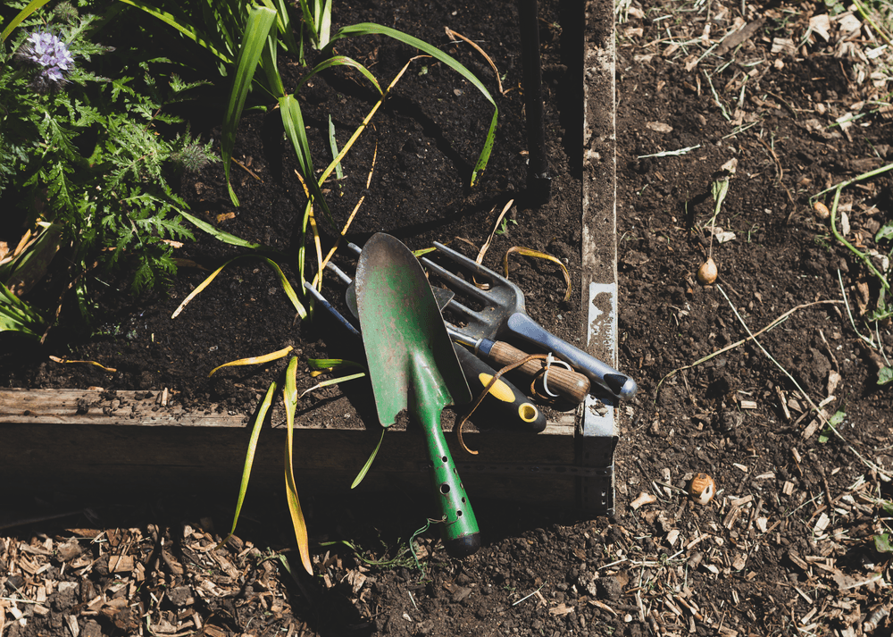 tools on a raised bed